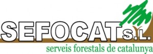 sefocat