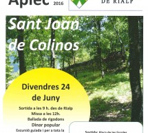(català) APLEC Sant Joan de Colinos