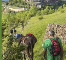 (català) Activitats març – juny de 2018 del Parque Natural del Alt Pirineu