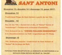 (català) Sant Antoni a Rialp 2017