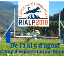 Summer agility competition Rialp 2018 Activitat de competició
