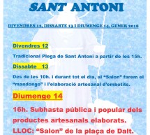 (català) Sant Antoni a Rialp 2018