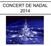 Concert de nadal 2014