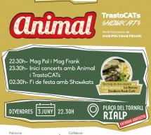 Concert Animal – TrastoCATs -Showkats